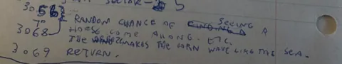 Handwriting: random chance of seeing a horse come along, etc. The wind makes the corn wave like the sea